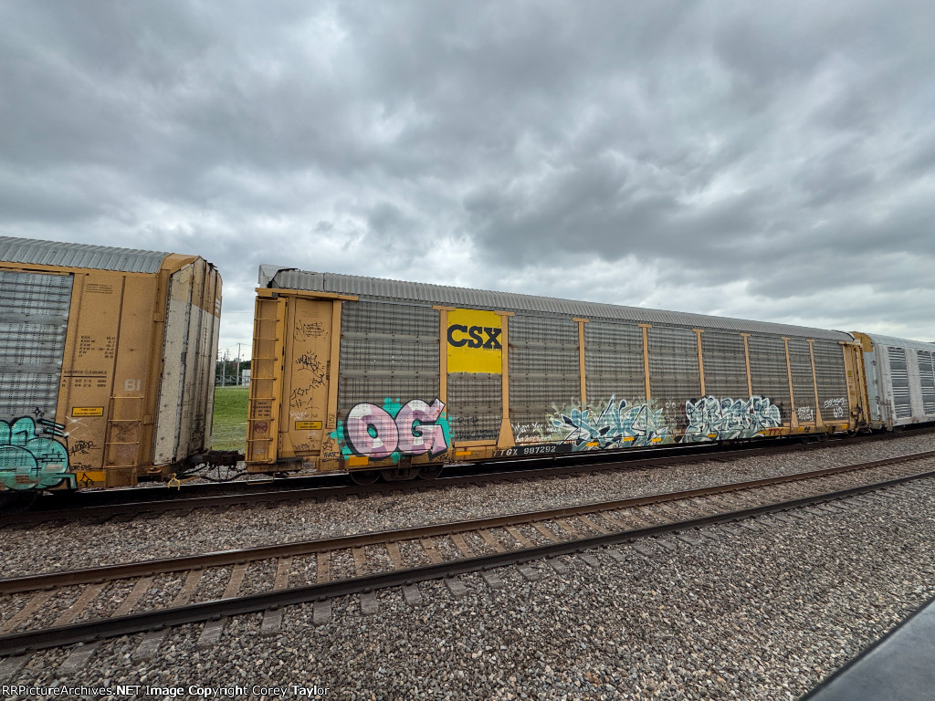 TTGX 987292